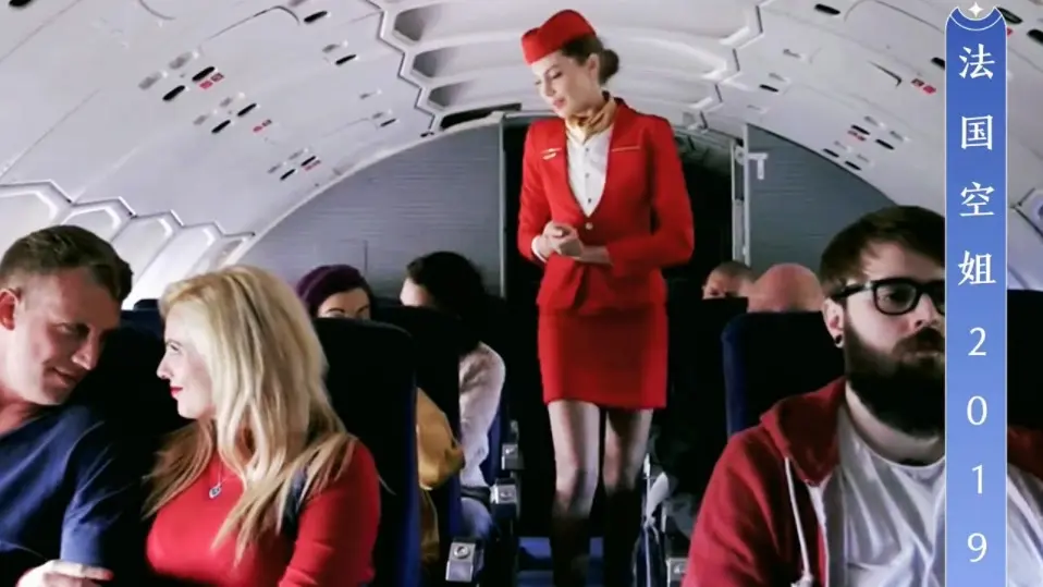 《法国空姐2018（多塞尔航空）》《法国空姐2019满天星法版》相关资源图片