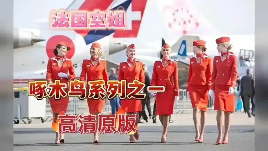 《法国空姐2》相关资源图片