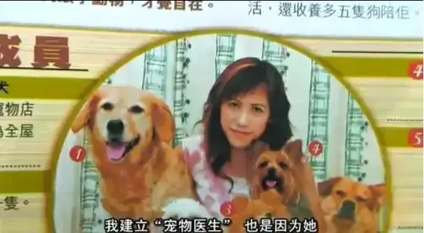 《女人与狗》相关资源图片